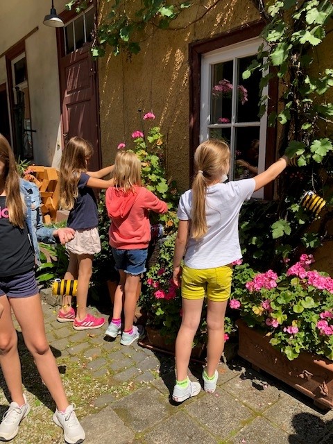 52_F22_Sommerferien 52_F22_Sommerferien
